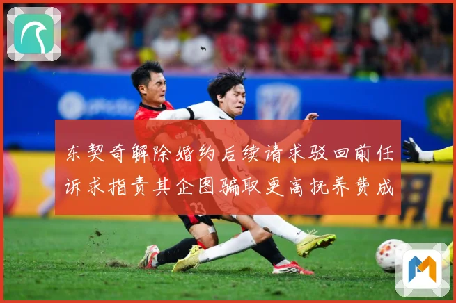 东契奇解除婚约后续请求驳回前任诉求指责其企图骗取更高抚养费成长观察-深度解析