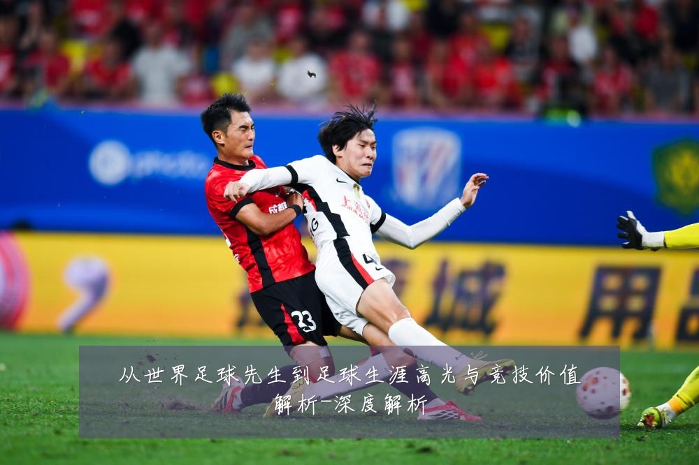 从世界足球先生到足球生涯高光与竞技价值解析-深度解析